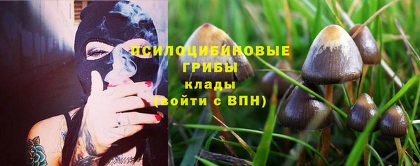 таблы Арсеньев